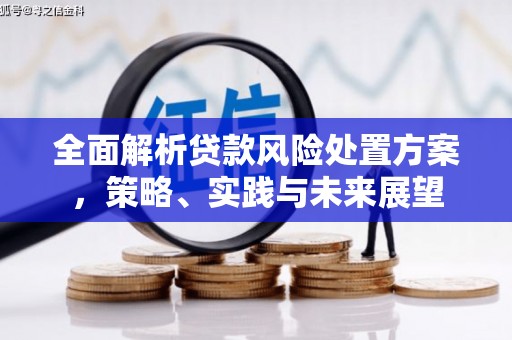 石龙全面解析贷款风险处置方案，策略、实践与未来展望