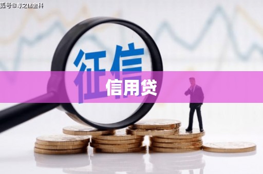 石龙信用贷