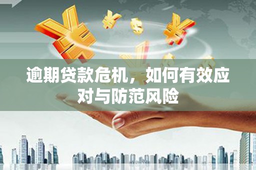 石龙逾期贷款危机，如何有效应对与防范风险