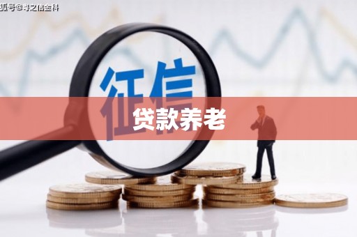 石龙贷款养老