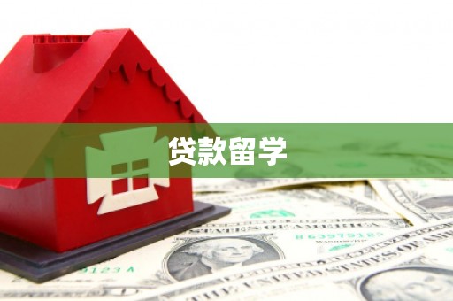 石龙贷款留学