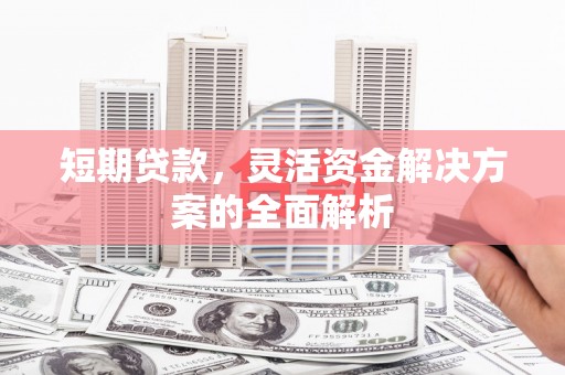 石龙短期贷款，灵活资金解决方案的全面解析