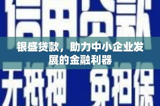 石龙银盛贷款，助力中小企业发展的金融利器