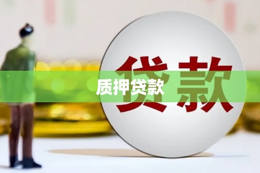 石龙质押贷款