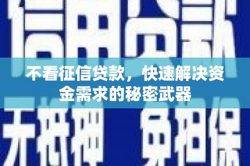 石龙不看征信贷款，快速解决资金需求的秘密武器