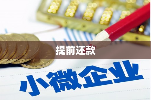 石龙提前还款