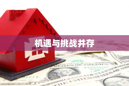 石龙机遇与挑战并存