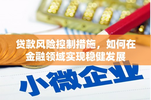 石龙贷款风险控制措施，如何在金融领域实现稳健发展