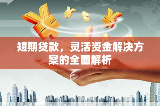 石龙短期贷款，灵活资金解决方案的全面解析