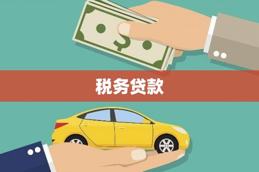 石龙税务贷款