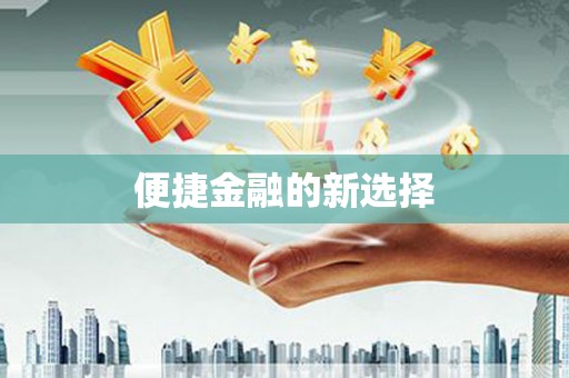石龙便捷金融的新选择