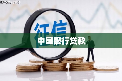 石龙中国银行贷款