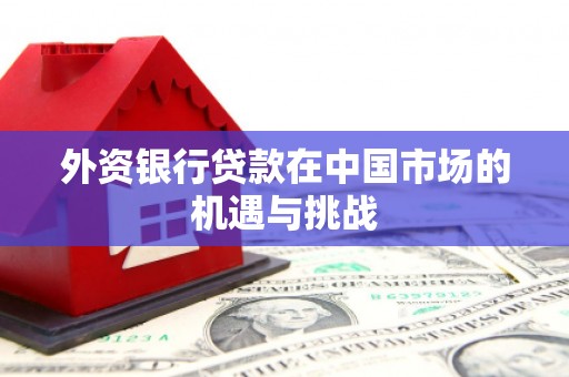 石龙外资银行贷款在中国市场的机遇与挑战