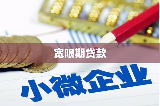 石龙宽限期贷款