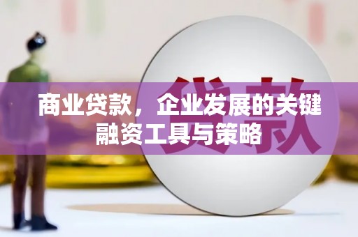 石龙商业贷款，企业发展的关键融资工具与策略