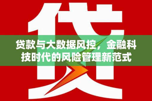 石龙贷款与大数据风控，金融科技时代的风险管理新范式