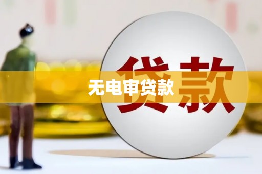 石龙无电审贷款