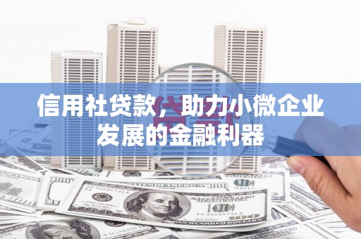 石龙信用社贷款，助力小微企业发展的金融利器