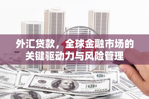 石龙外汇贷款，全球金融市场的关键驱动力与风险管理