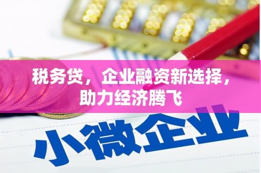石龙税务贷，企业融资新选择，助力经济腾飞