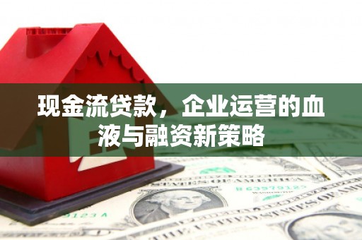 石龙现金流贷款，企业运营的血液与融资新策略