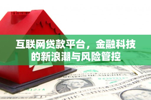 石龙互联网贷款平台，金融科技的新浪潮与风险管控