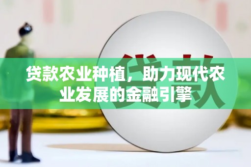 石龙贷款农业种植，助力现代农业发展的金融引擎