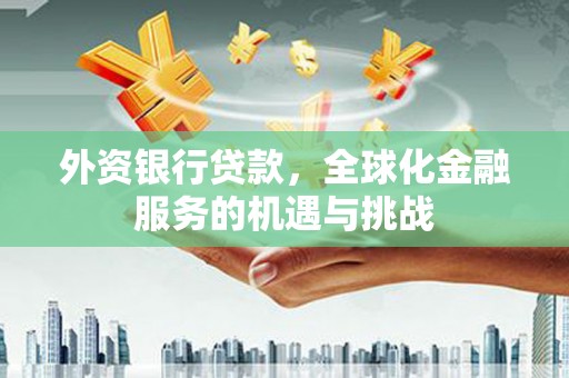 石龙外资银行贷款，全球化金融服务的机遇与挑战