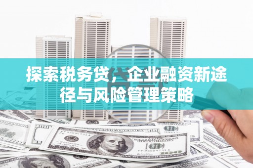 石龙探索税务贷，企业融资新途径与风险管理策略