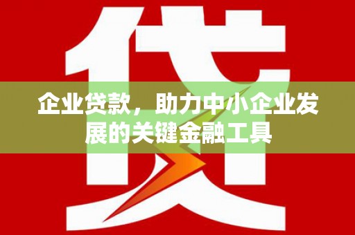 石龙企业贷款，助力中小企业发展的关键金融工具
