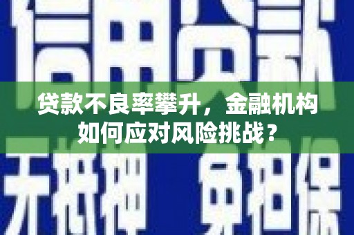 石龙贷款不良率攀升，金融机构如何应对风险挑战？