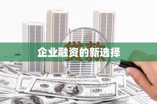 石龙企业融资的新选择