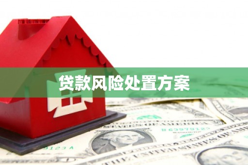石龙贷款风险处置方案