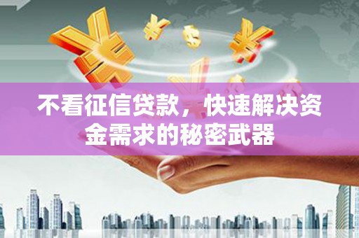 石龙不看征信贷款，快速解决资金需求的秘密武器