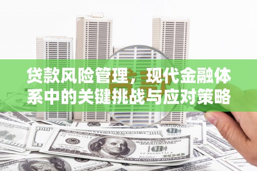 石龙贷款风险管理，现代金融体系中的关键挑战与应对策略