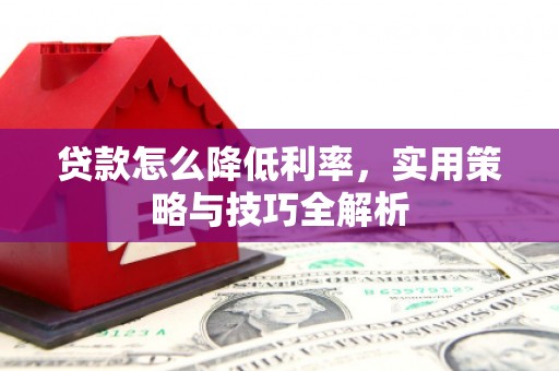 石龙贷款怎么降低利率，实用策略与技巧全解析