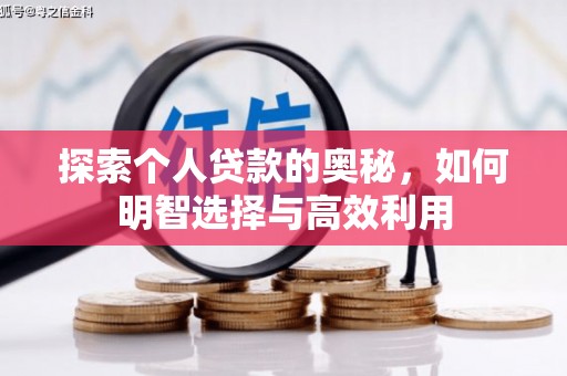 石龙探索个人贷款的奥秘，如何明智选择与高效利用
