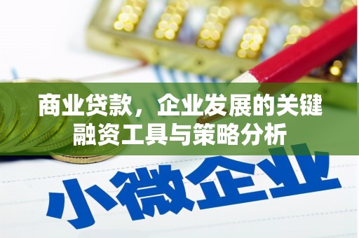 石龙商业贷款，企业发展的关键融资工具与策略分析