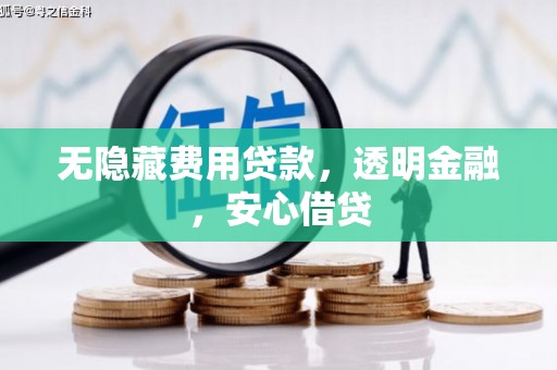 石龙无隐藏费用贷款，透明金融，安心借贷