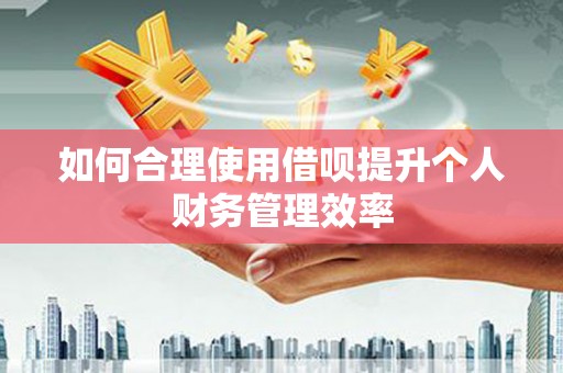 石龙如何合理使用借呗提升个人财务管理效率