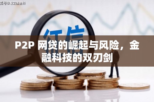 石龙P2P 网贷的崛起与风险，金融科技的双刃剑