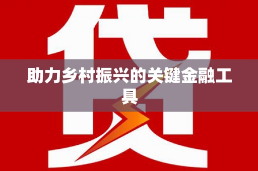 石龙助力乡村振兴的关键金融工具