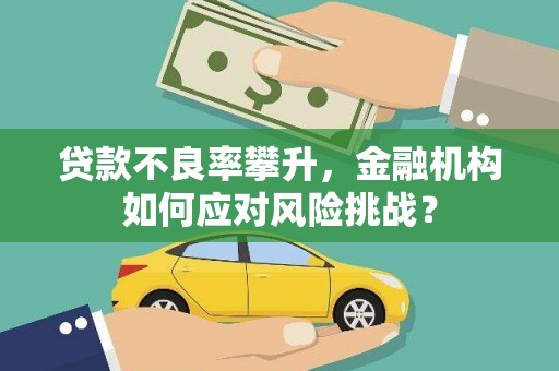 石龙贷款不良率攀升，金融机构如何应对风险挑战？