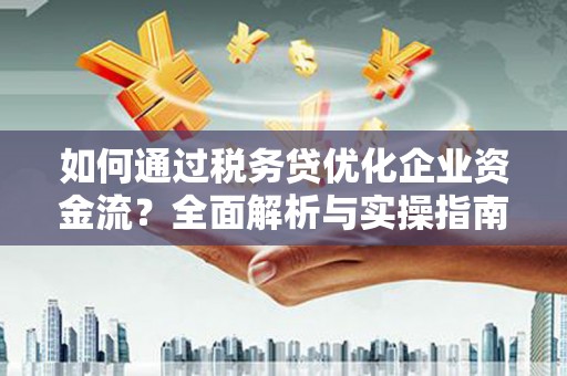 石龙如何通过税务贷优化企业资金流？全面解析与实操指南