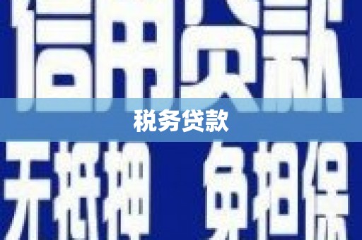 石龙税务贷款