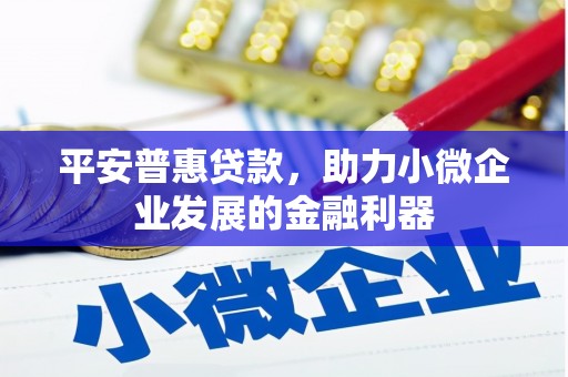 石龙平安普惠贷款，助力小微企业发展的金融利器