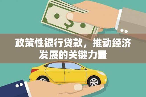 石龙政策性银行贷款，推动经济发展的关键力量
