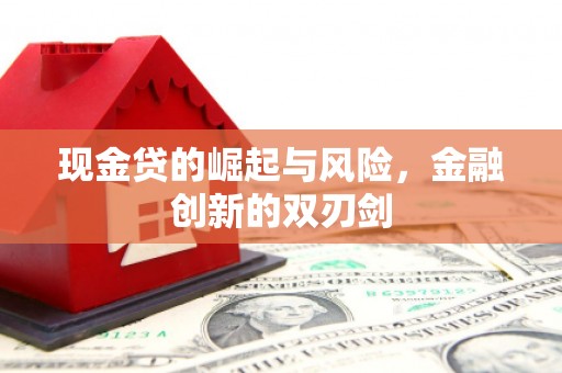 石龙现金贷的崛起与风险，金融创新的双刃剑