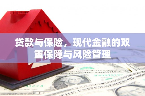 石龙贷款与保险，现代金融的双重保障与风险管理