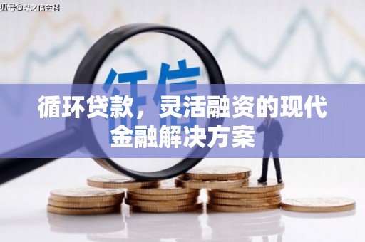 石龙循环贷款，灵活融资的现代金融解决方案